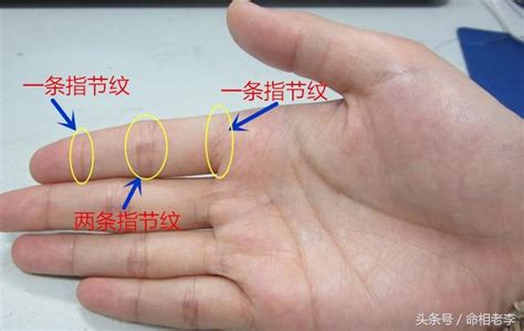食指下方橫紋